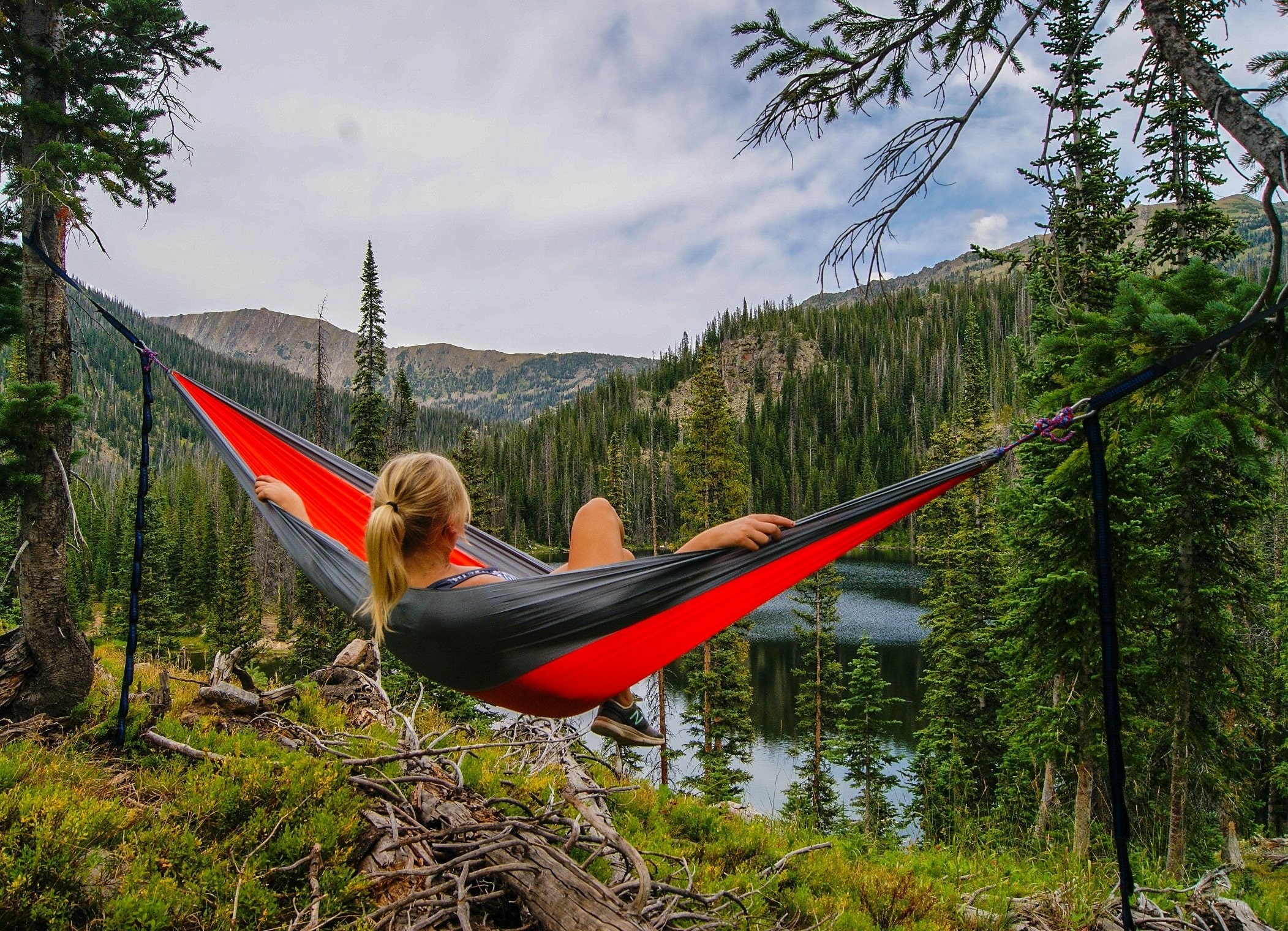 Hammock